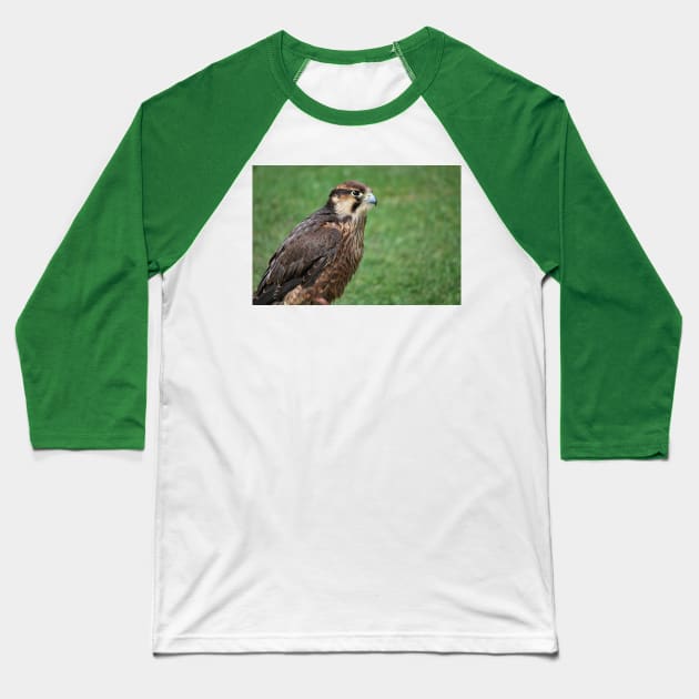 Kestrel Baseball T-Shirt by snknjak